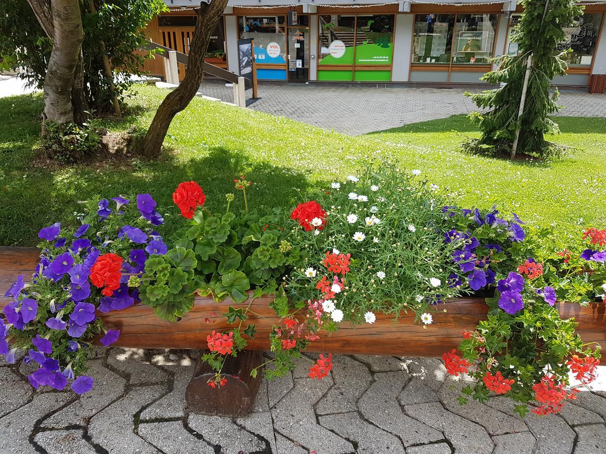 Holidays Groupes אנזיר מראה חיצוני תמונה